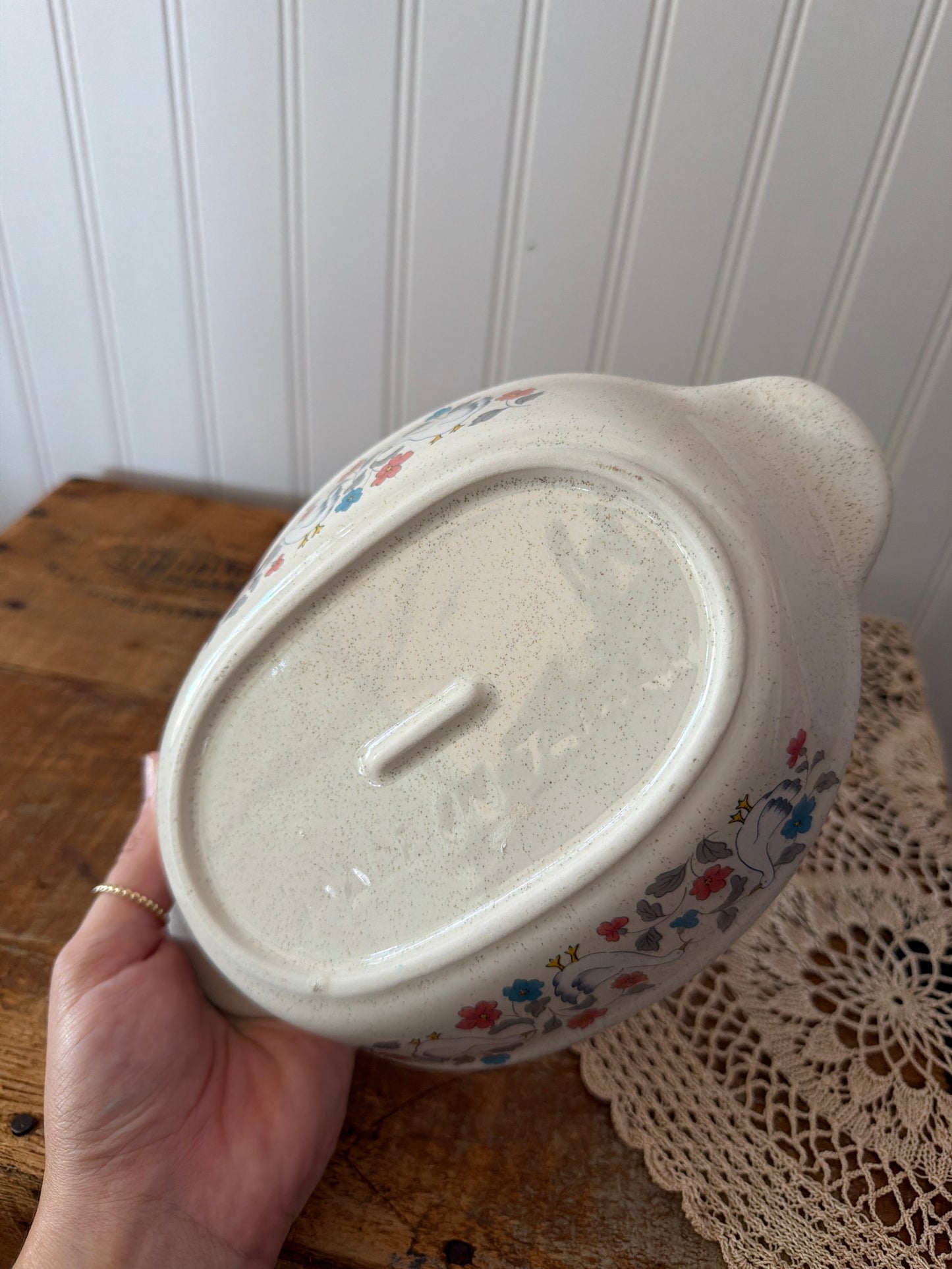 GOOSE DISH