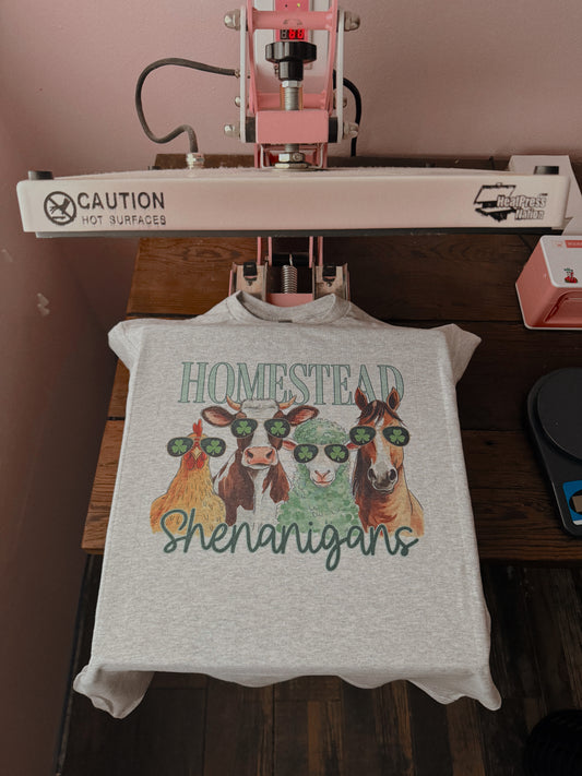 HOMESTEAD SHENANIGANS