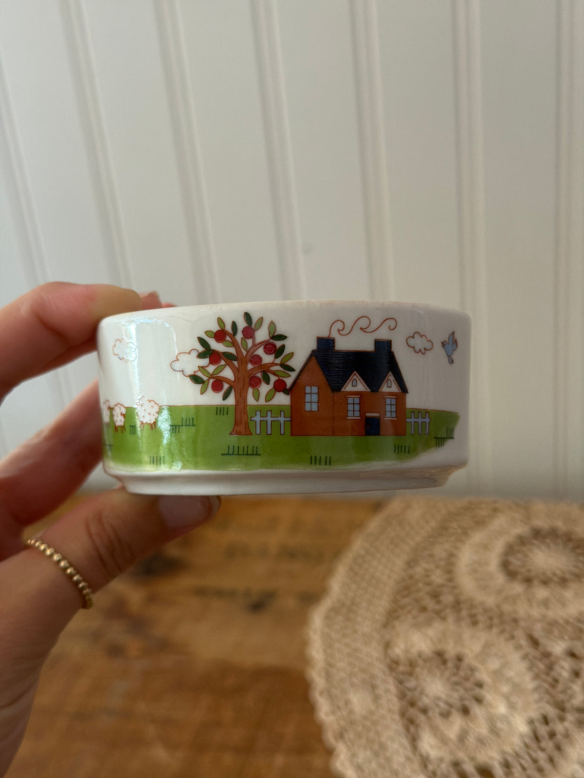 HOME SCENE DISH