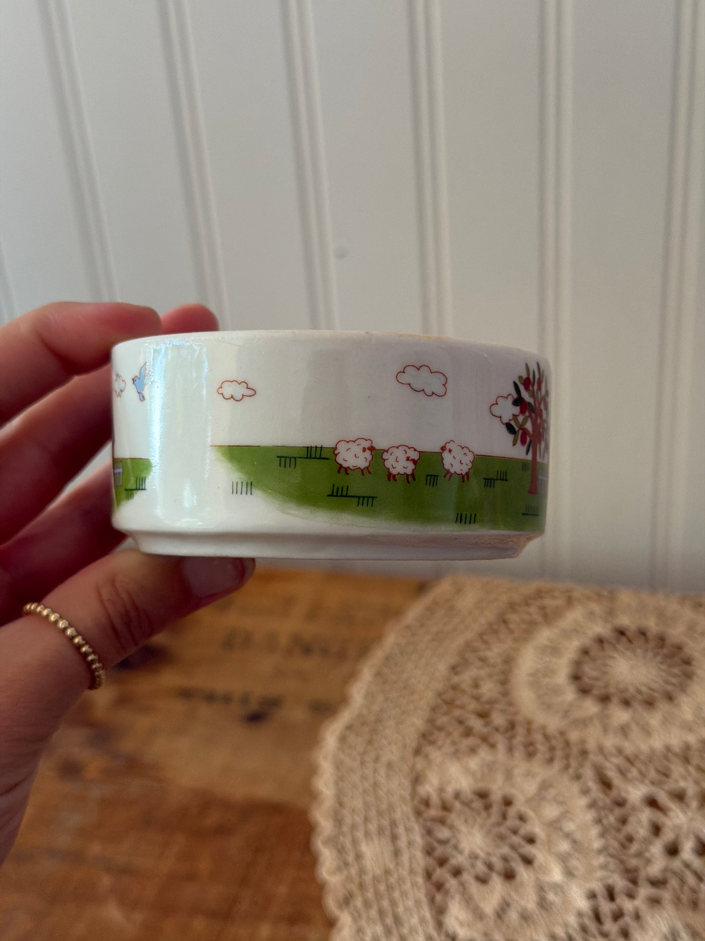 HOME SCENE DISH