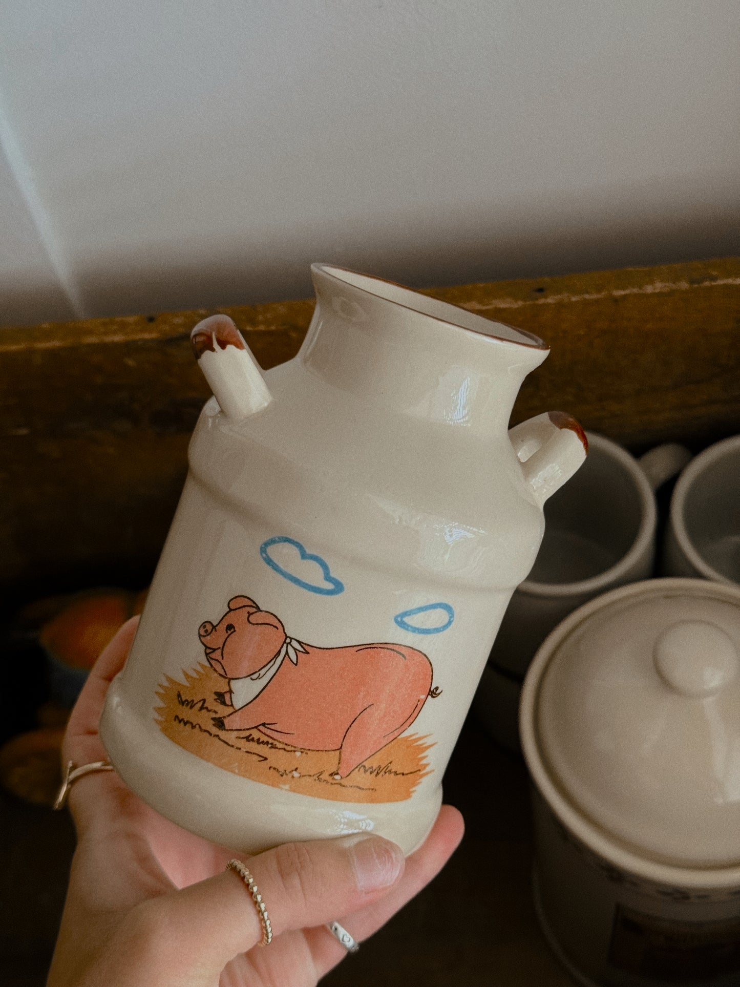 PIGGY VASE